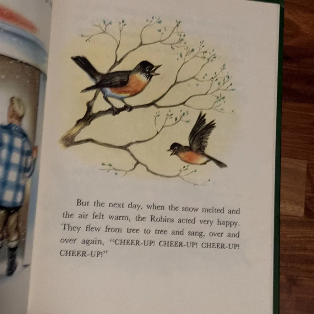 Vintage 1950 Junior Elf Book- Johnny and the Birds by Ian Munn, Rand McNally